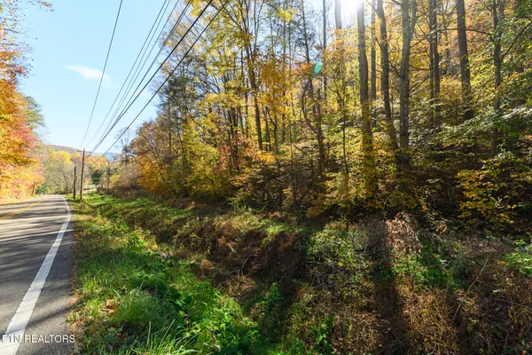 $27,000 | Lot 1 Jones Cove Road, Cosby, TN 37722