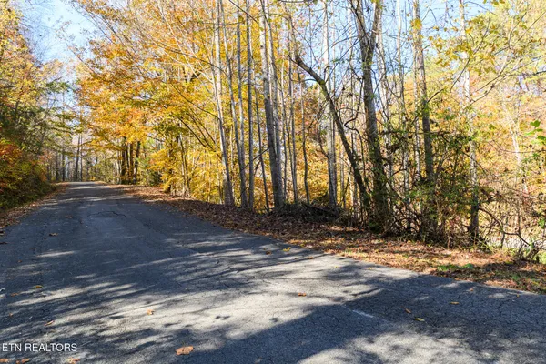 $27,000 | Lot 1 Jones Cove Road, Cosby, TN 37722