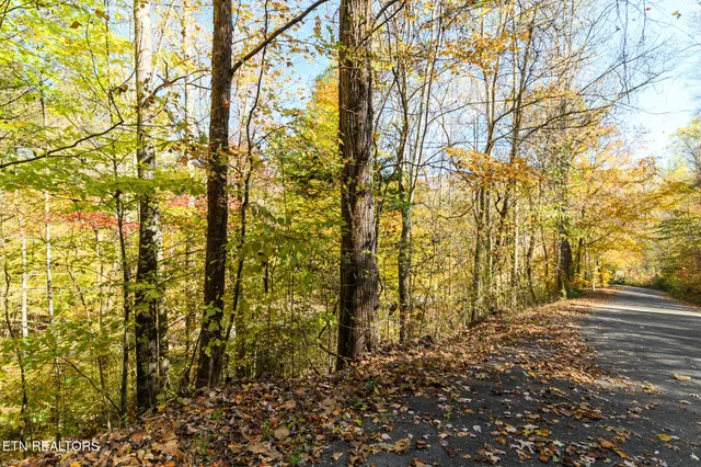 $27,000 | Lot 1 Jones Cove Road, Cosby, TN 37722