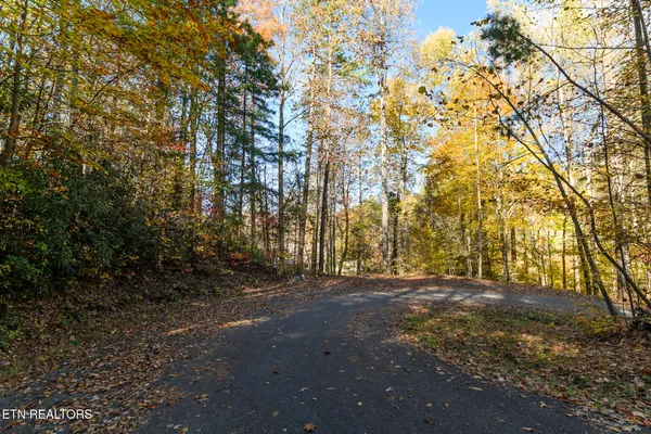 $27,000 | Lot 1 Jones Cove Road, Cosby, TN 37722