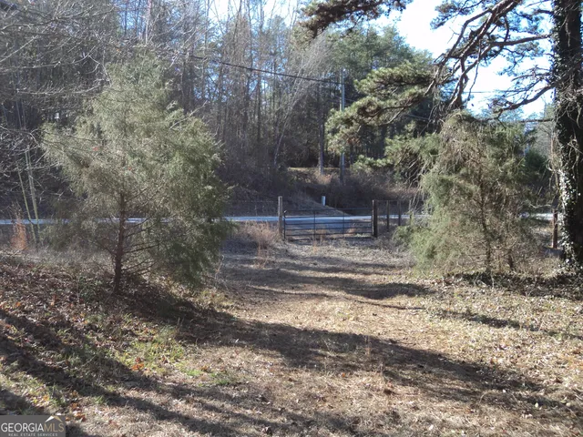 a view of a park with large trees