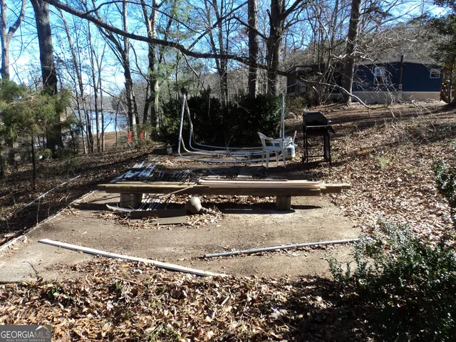 a view of a yard with trees