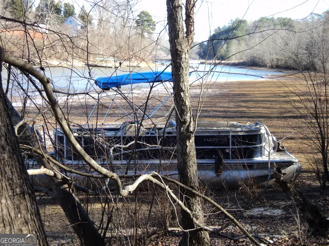 a view of a park with large trees