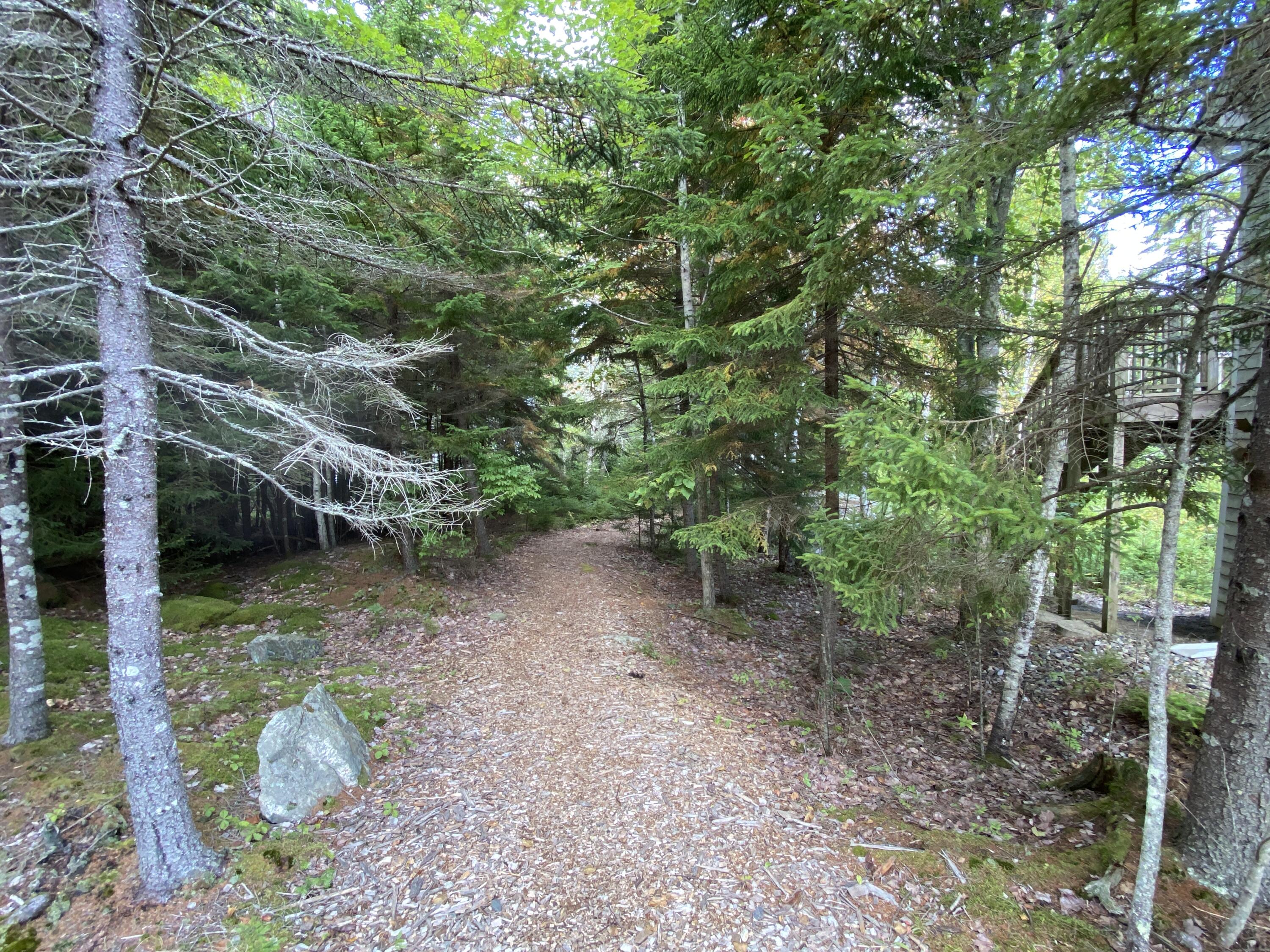 Lot 10 Waymouth Road Tenants Harbor, ME 04860 - Photo 29 of 57 IMG_4854