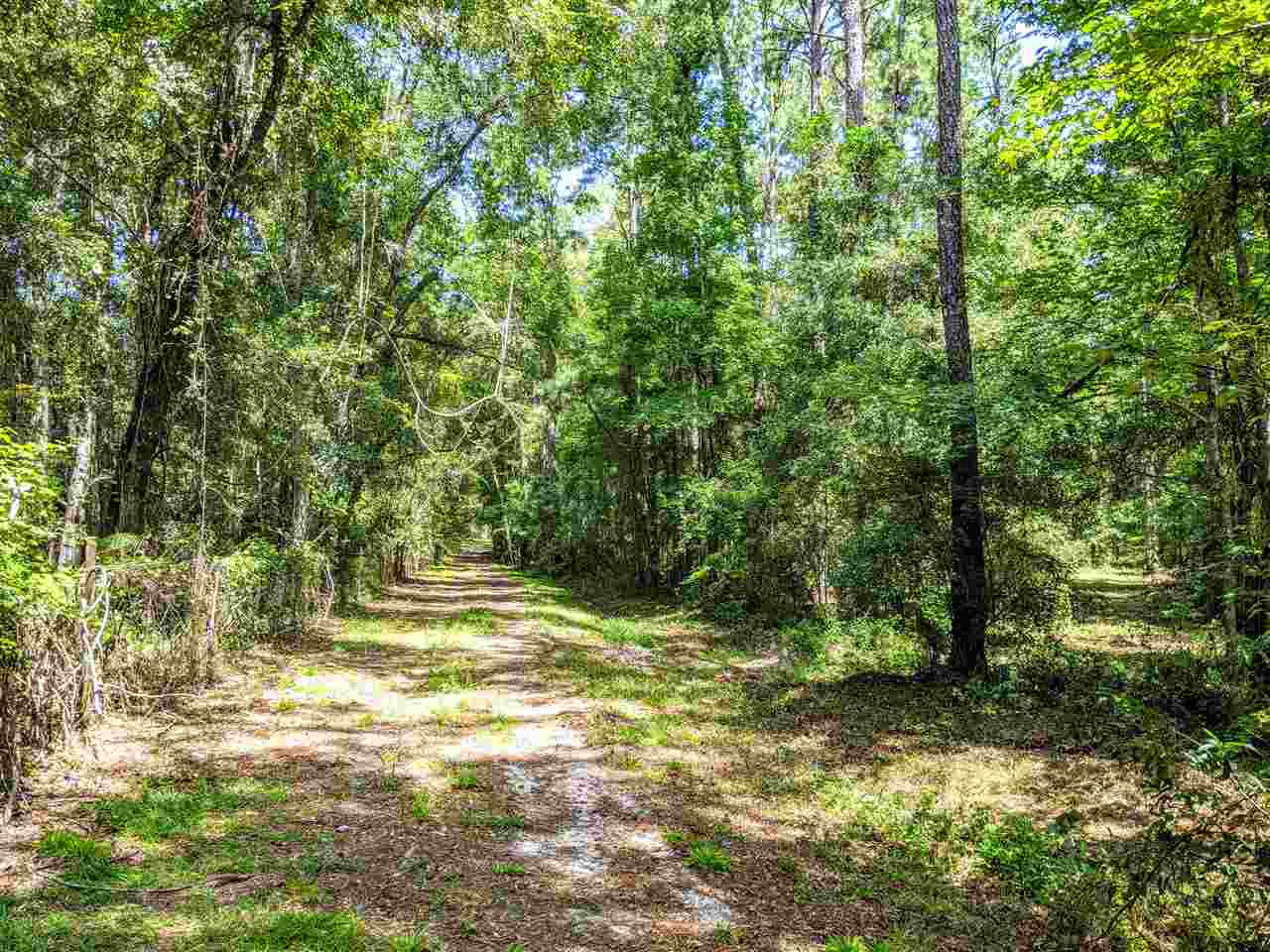 287 Nash Road Lamont, FL 32336 - Photo 11 of 21 Gallery Image 11