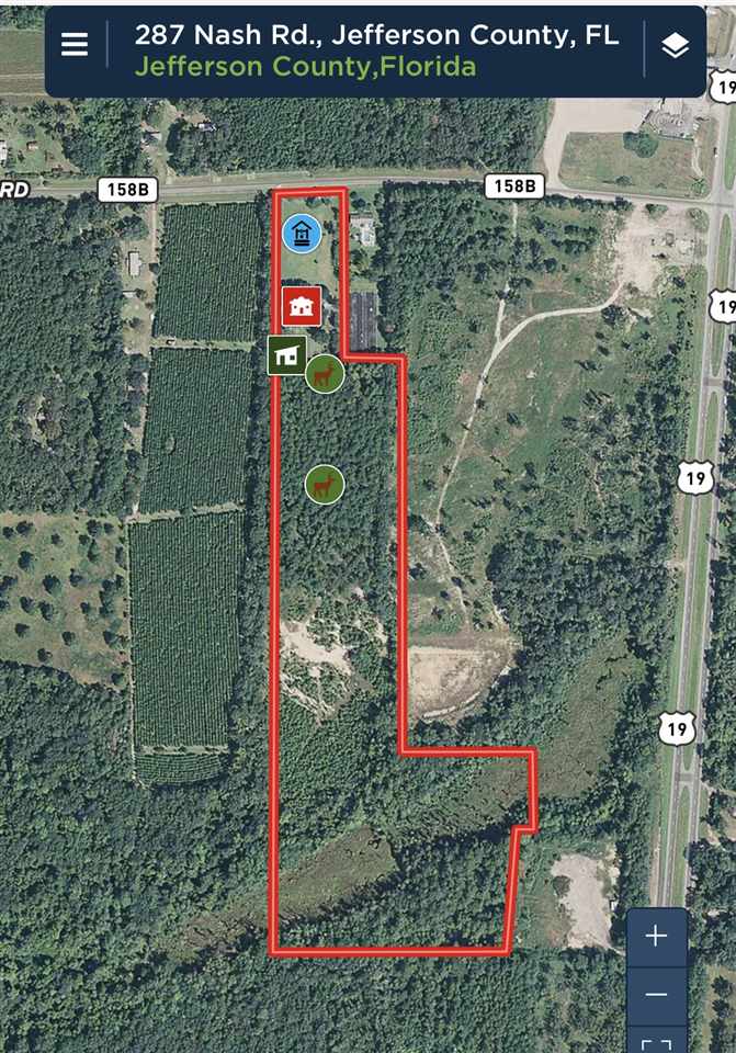 287 Nash Road Lamont, FL 32336 - Photo 20 of 21 Gallery Image 20