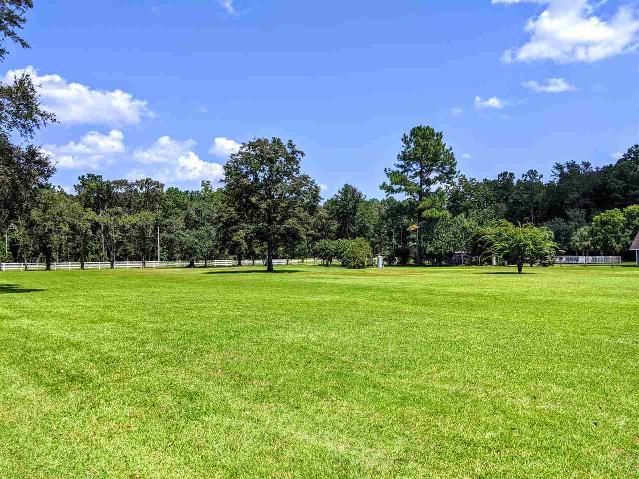 287 Nash Road Lamont, FL 32336 - Photo 5 of 21 Gallery Image 5