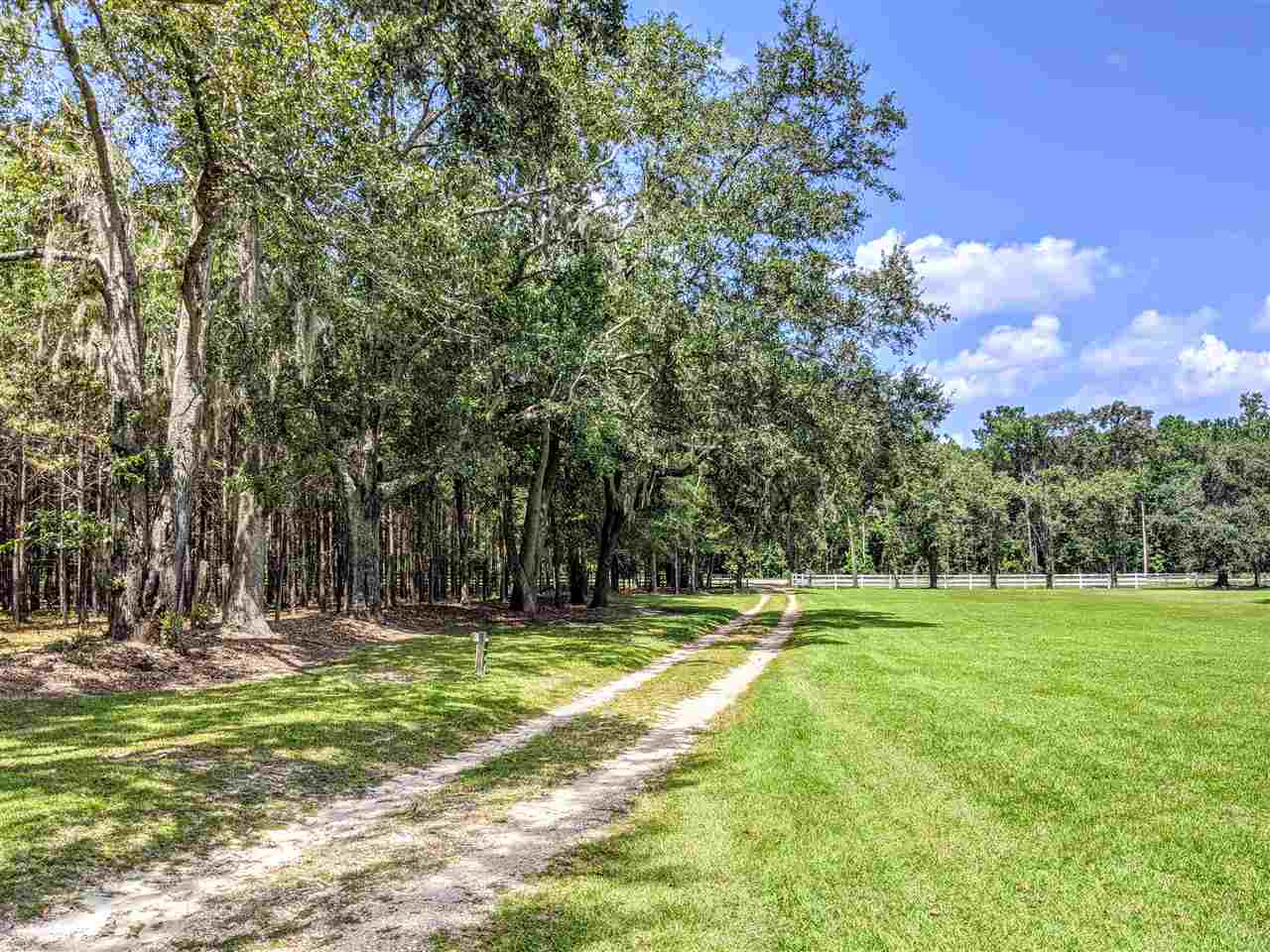 287 Nash Road Lamont, FL 32336 - Photo 6 of 21 Gallery Image 6