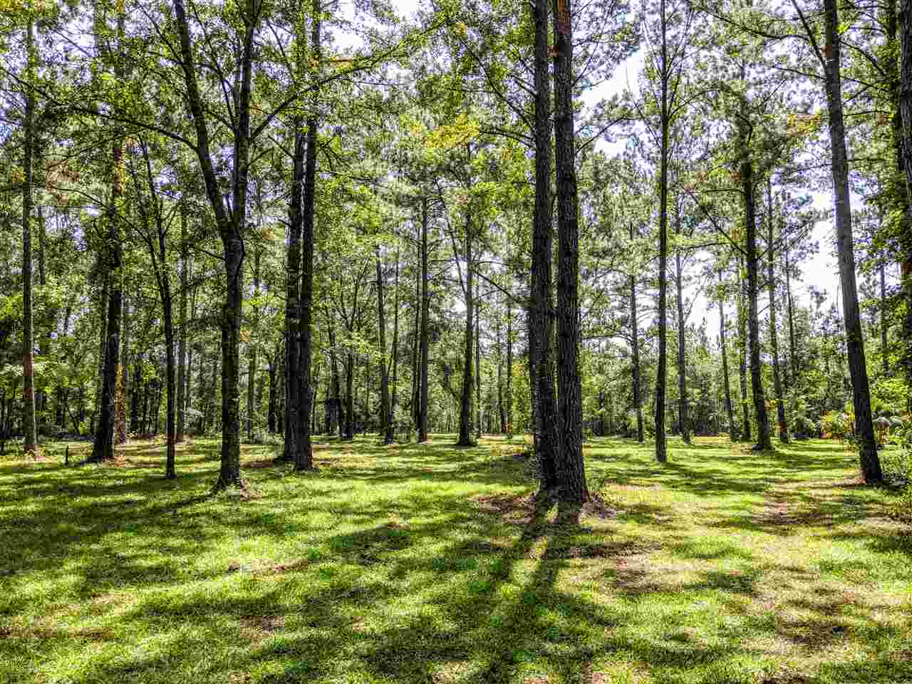 287 Nash Road Lamont, FL 32336 - Photo 7 of 21 Gallery Image 7