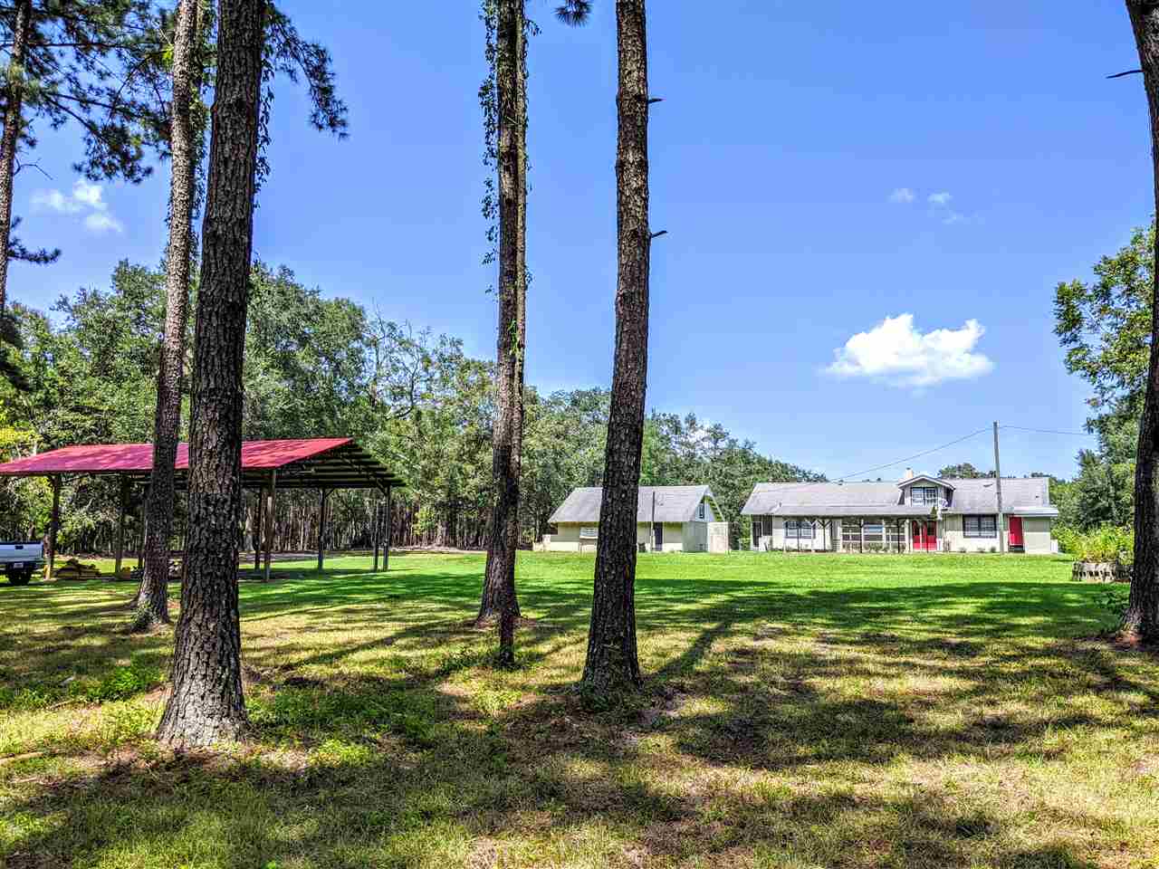 287 Nash Road Lamont, FL 32336 - Photo 8 of 21 Gallery Image 8