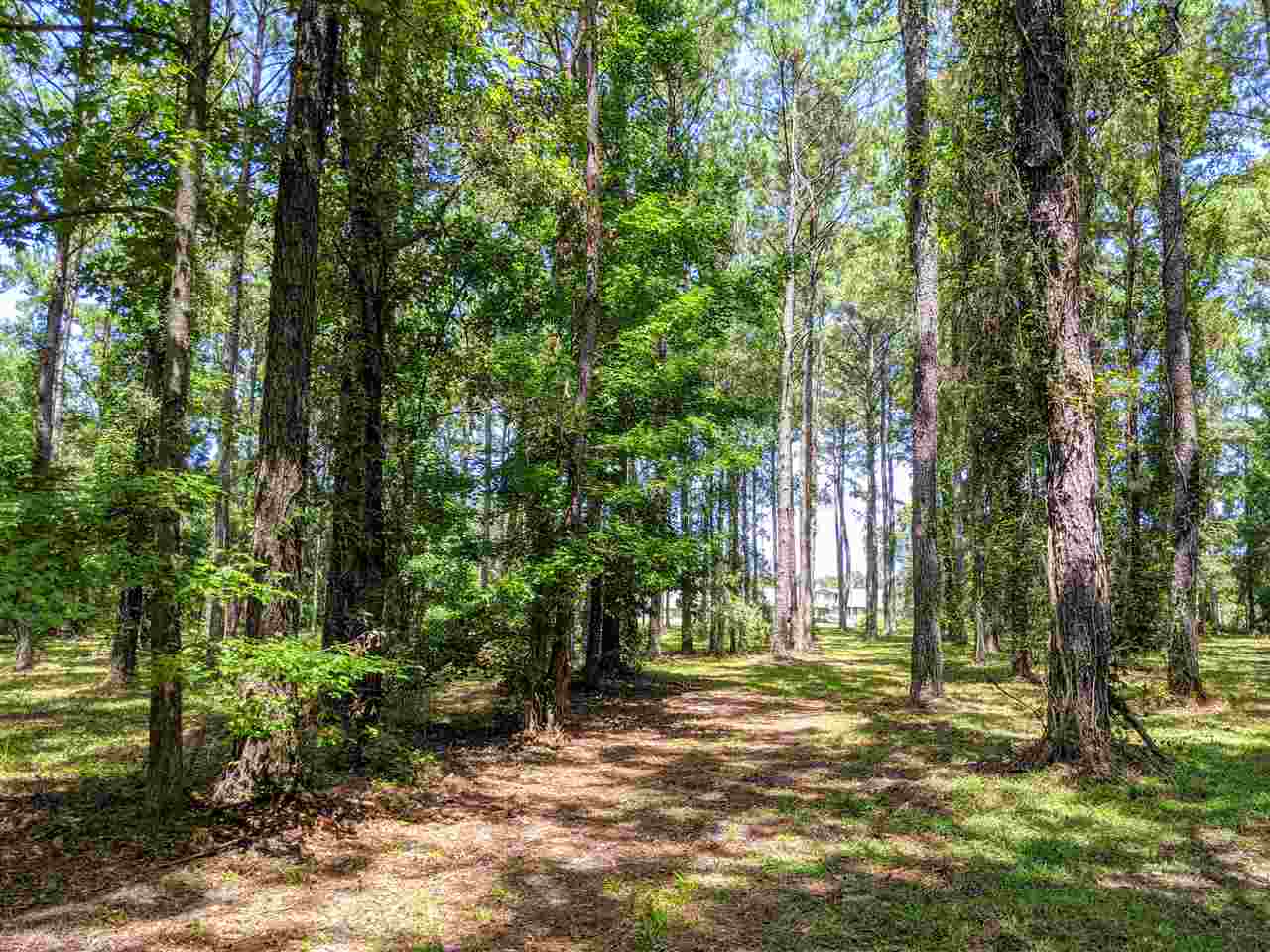 287 Nash Road Lamont, FL 32336 - Photo 9 of 21 Gallery Image 9