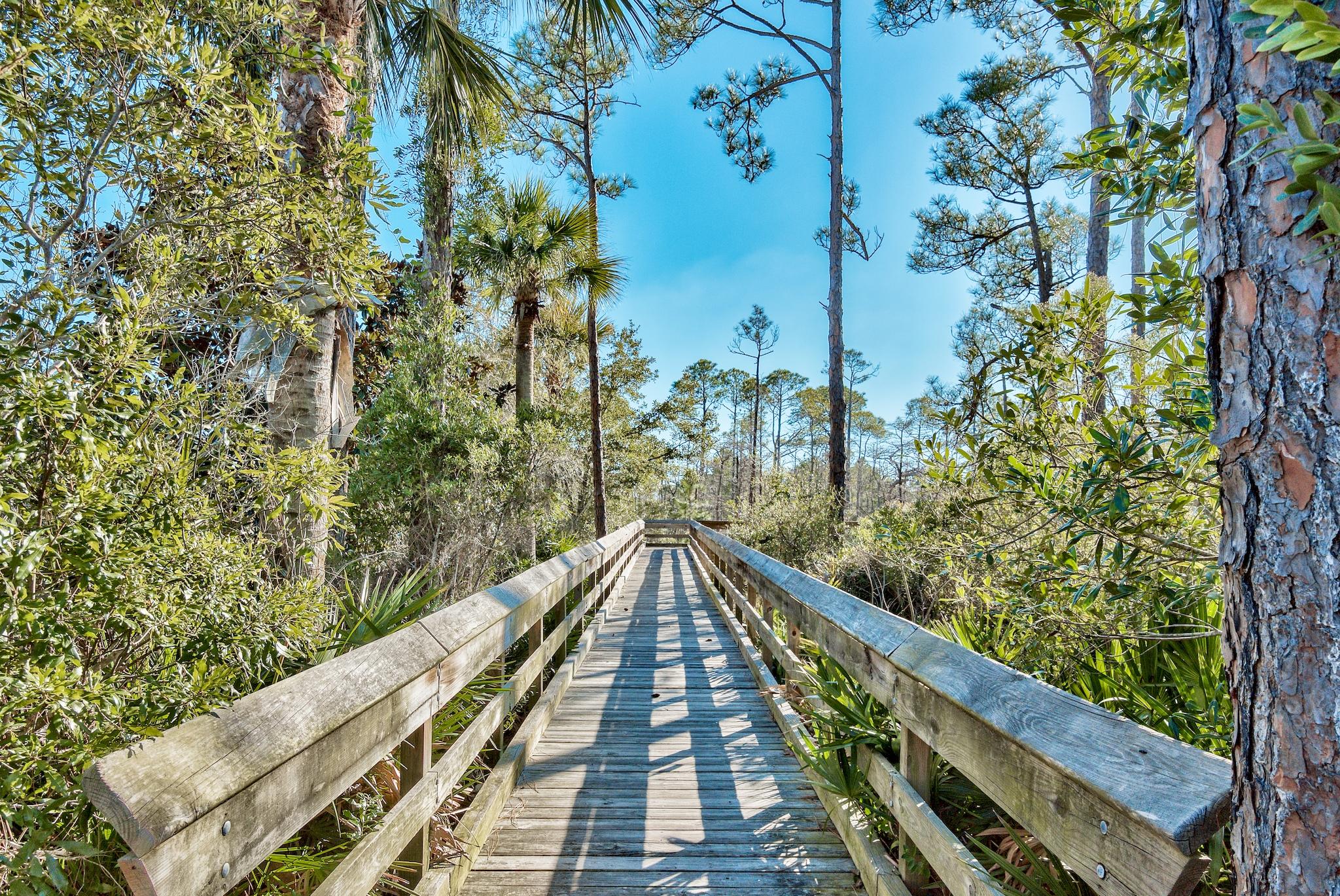 Lot 7 Cypress Santa Rosa Beach Santa Rosa Beach, FL 32459 - Photo 73 of 81 Walkway to PHI Cypress Dunes