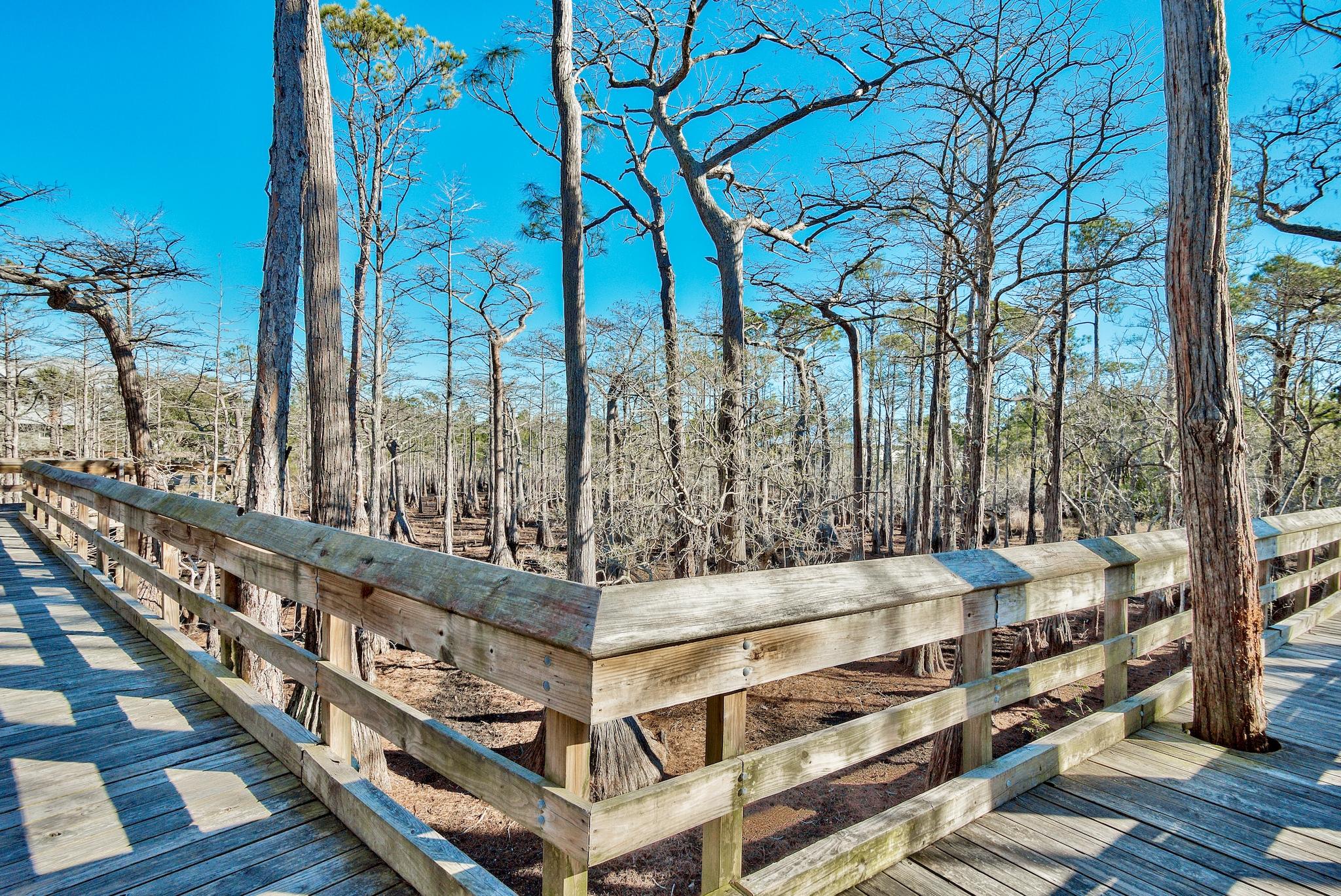 Lot 7 Cypress Santa Rosa Beach Santa Rosa Beach, FL 32459 - Photo 75 of 81 Walkway to PHI