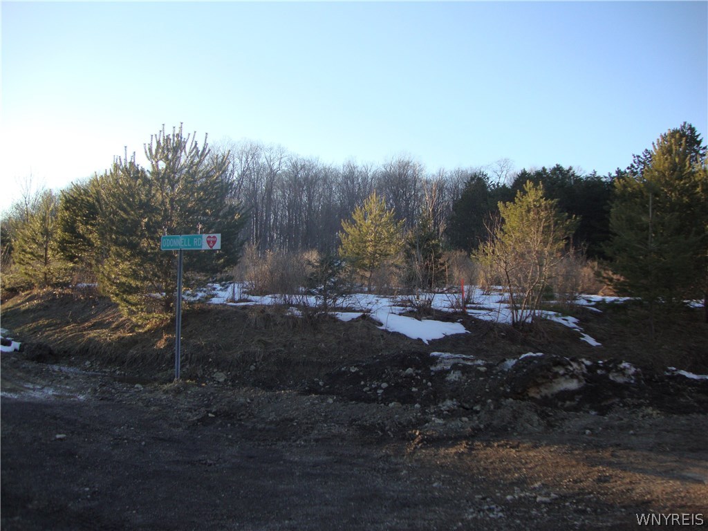 0 Tug Hill Road Machias, NY 14101 - Photo 1 of 1 Gallery Image 1