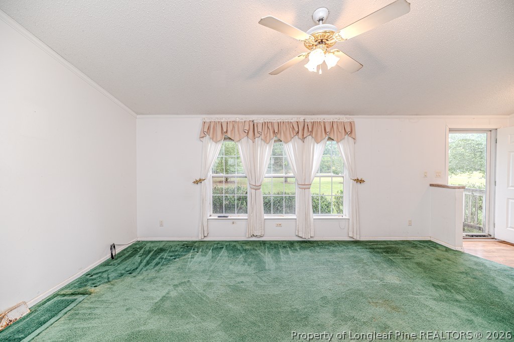 532 Petty Road Sanford, NC 27330 - Photo 10 of 33 LR toward Entry