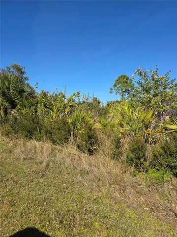 a view of a bunch of flowers and trees