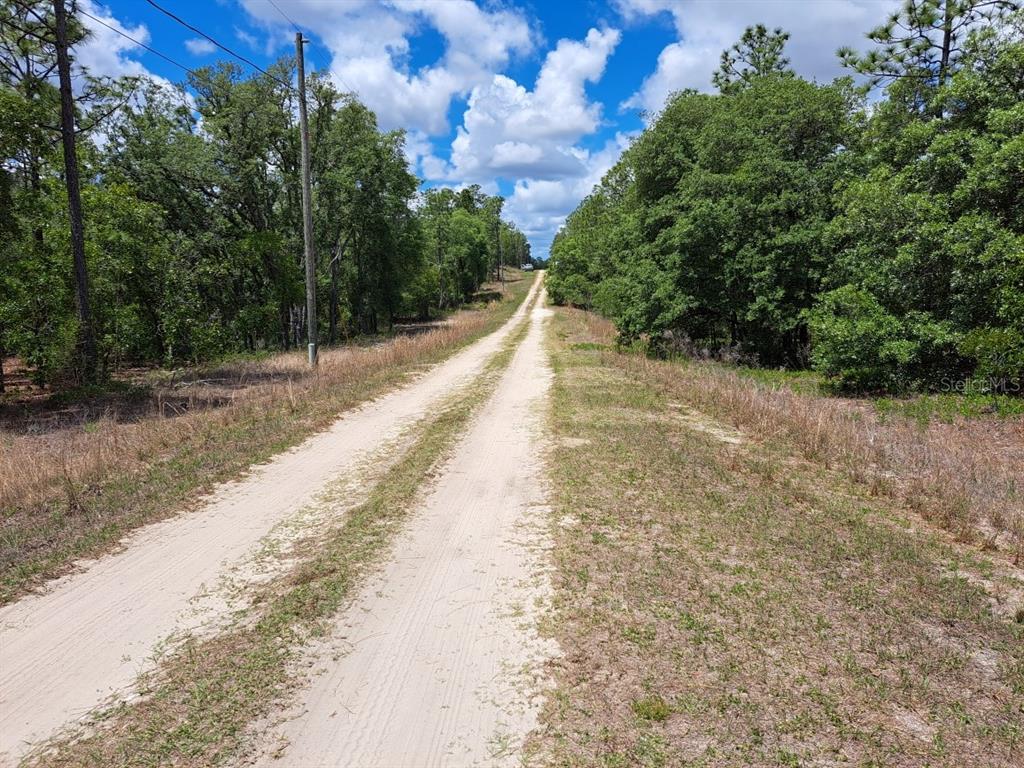 0 Southwest 125th Ct Road Dunnellon, FL 34432 - Photo 4 of 5