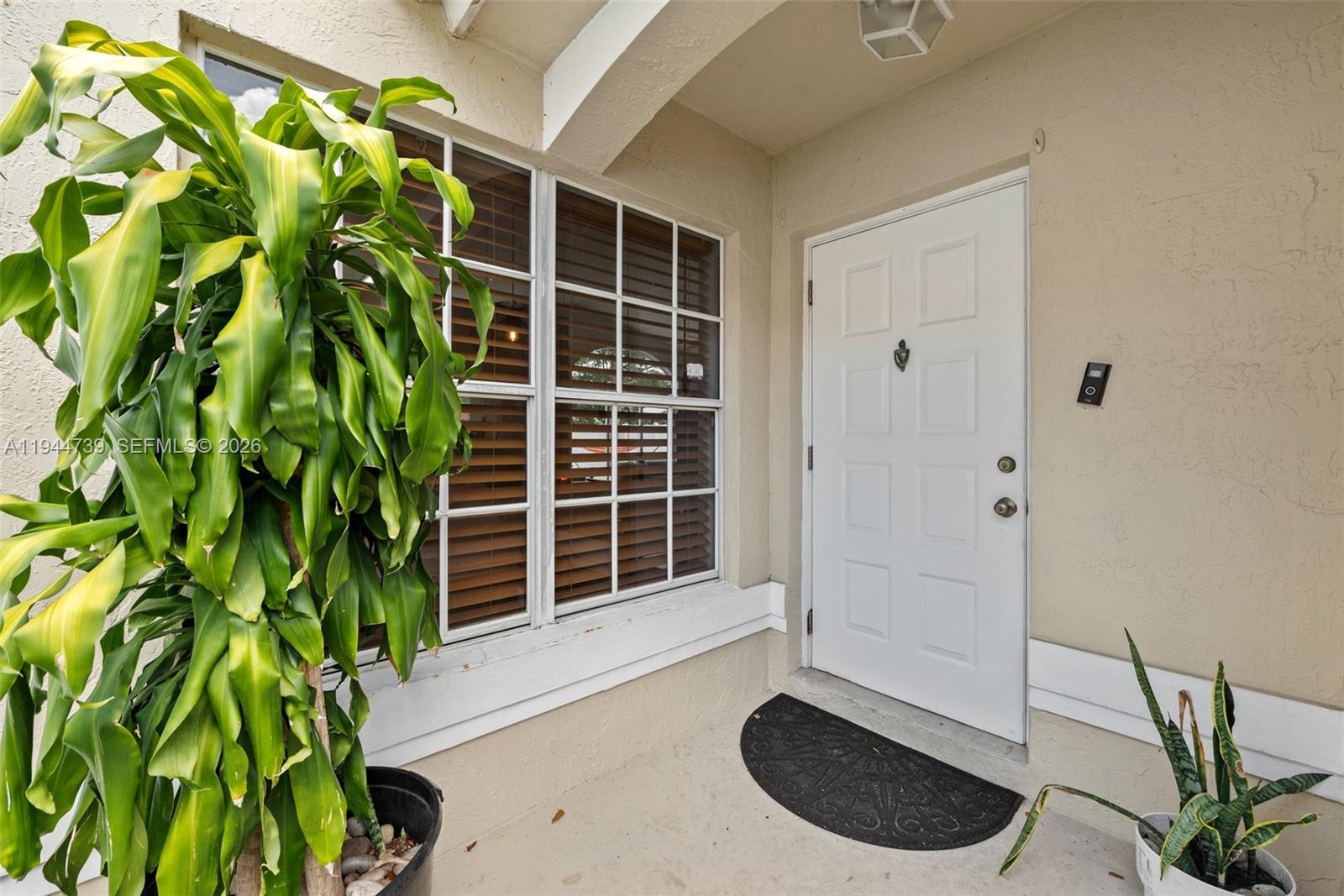 955 Azure Lane Weston, FL 33326 - Photo 5 of 34 a view of a potted plant in front of a door