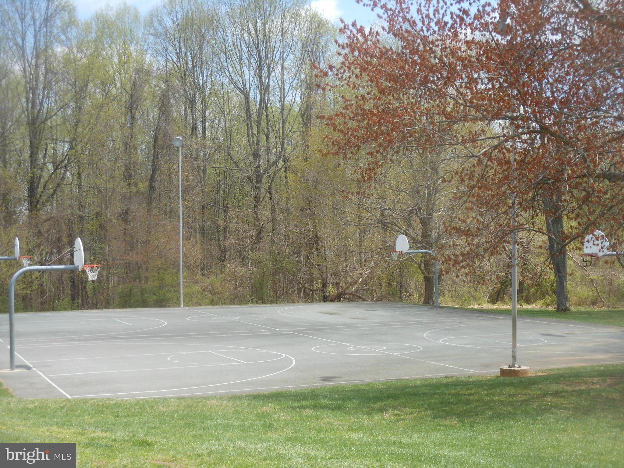 1705 Gamewell Road Silver Spring, MD 20905 - Photo 25 of 28 a view of a yard