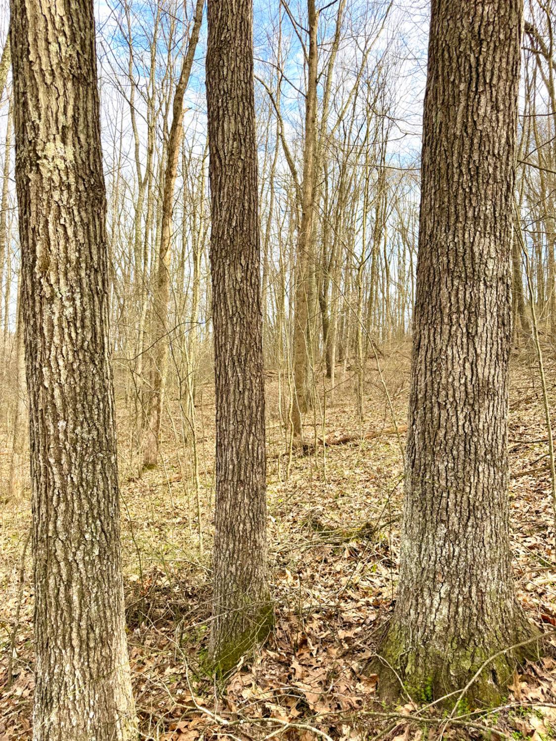 0 Fyffe Hollow Road Chillicothe, OH 45601 - Photo 11 of 96