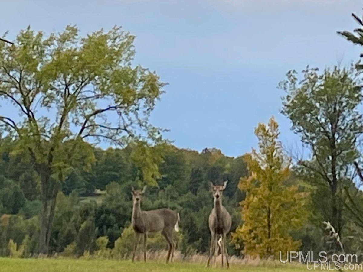 W8189 Co Road Vulcan, MI 49892 - Photo 11 of 16