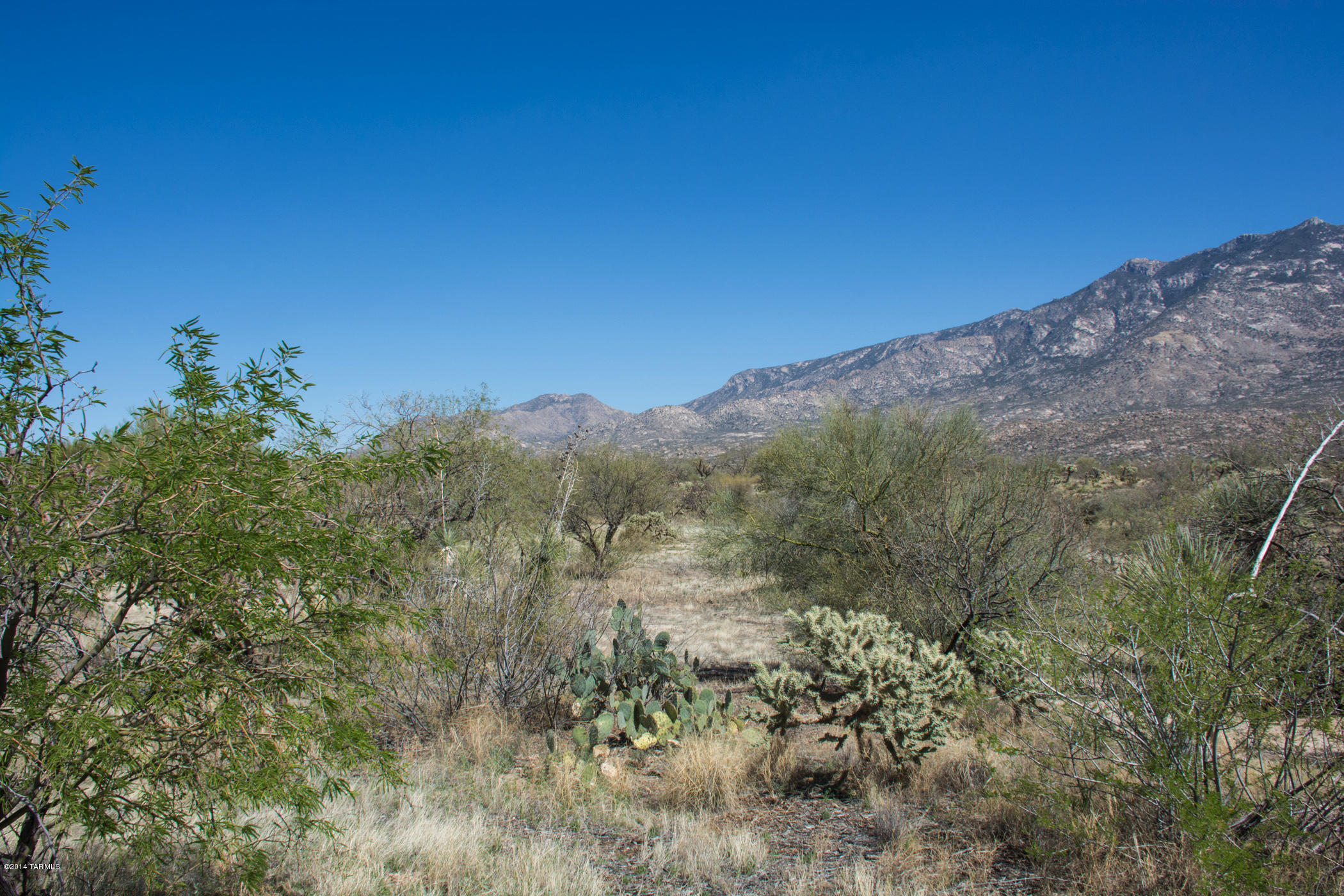 14442 North Swan Road Tucson, AZ 85739 - Photo 10 of 24