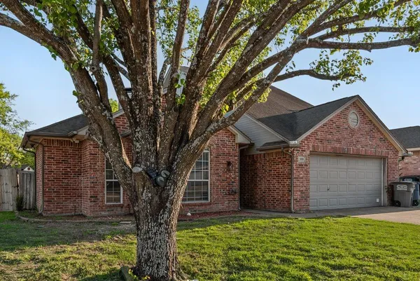 a large tree in the garden in front of a house
