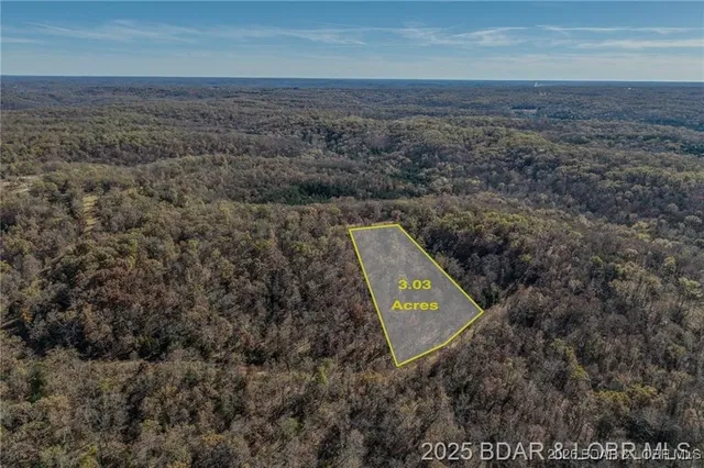 $29,000 | Lot 10 Forest Trails Road, Roach, MO 65787