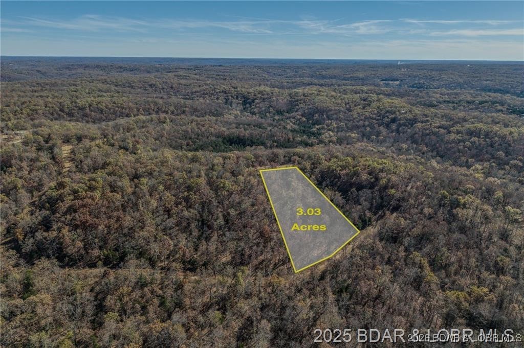 Lot 10 Forest Trails Road Roach, MO 65787 - Photo 2 of 7