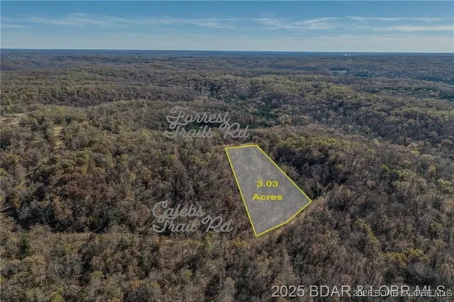 $29,000 | Lot 10 Forest Trails Road, Roach, MO 65787