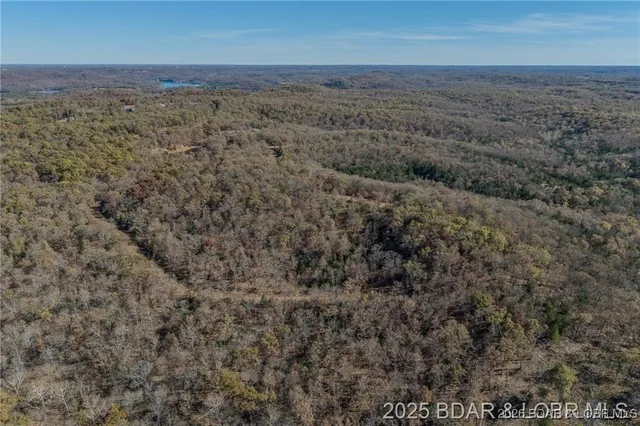 $29,000 | Lot 10 Forest Trails Road, Roach, MO 65787