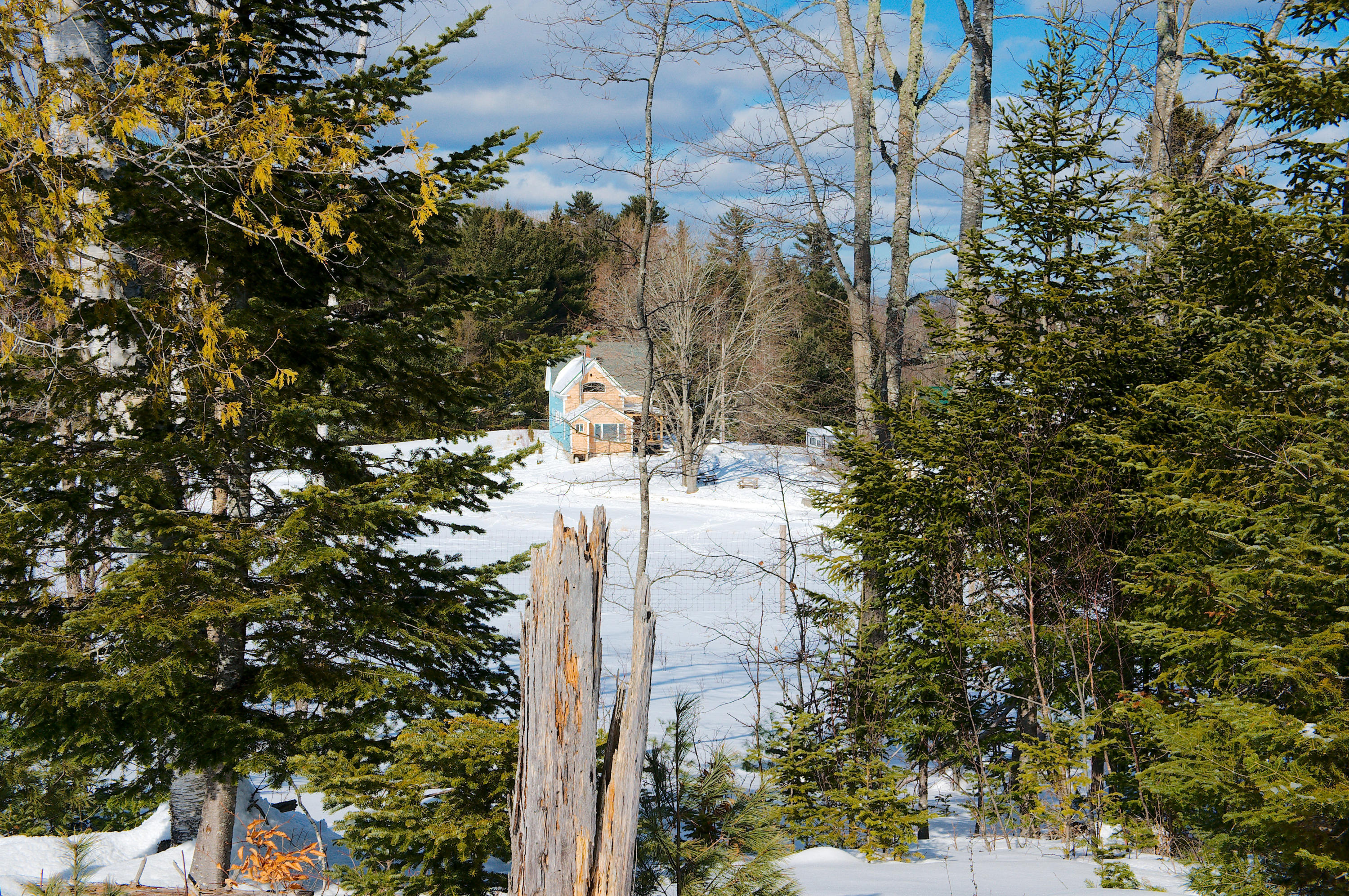 487 Airline Road Ellsworth, ME 04605 - Photo 60 of 61 The farmhouse