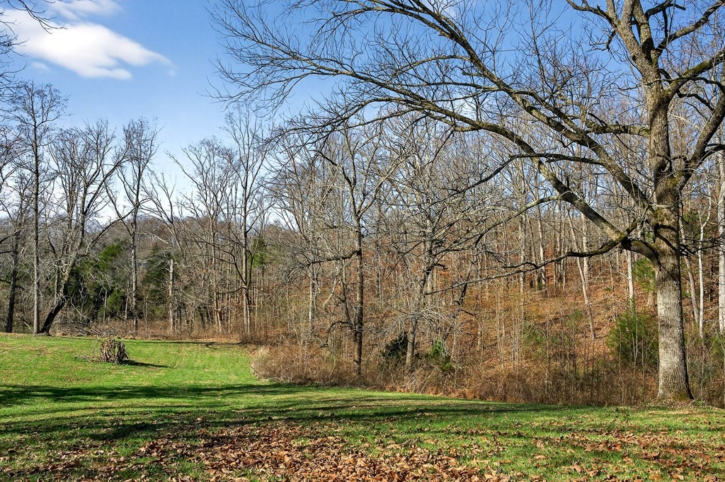 2311 Boyd Farris Road Cookeville, TN 38506 - Photo 68 of 74