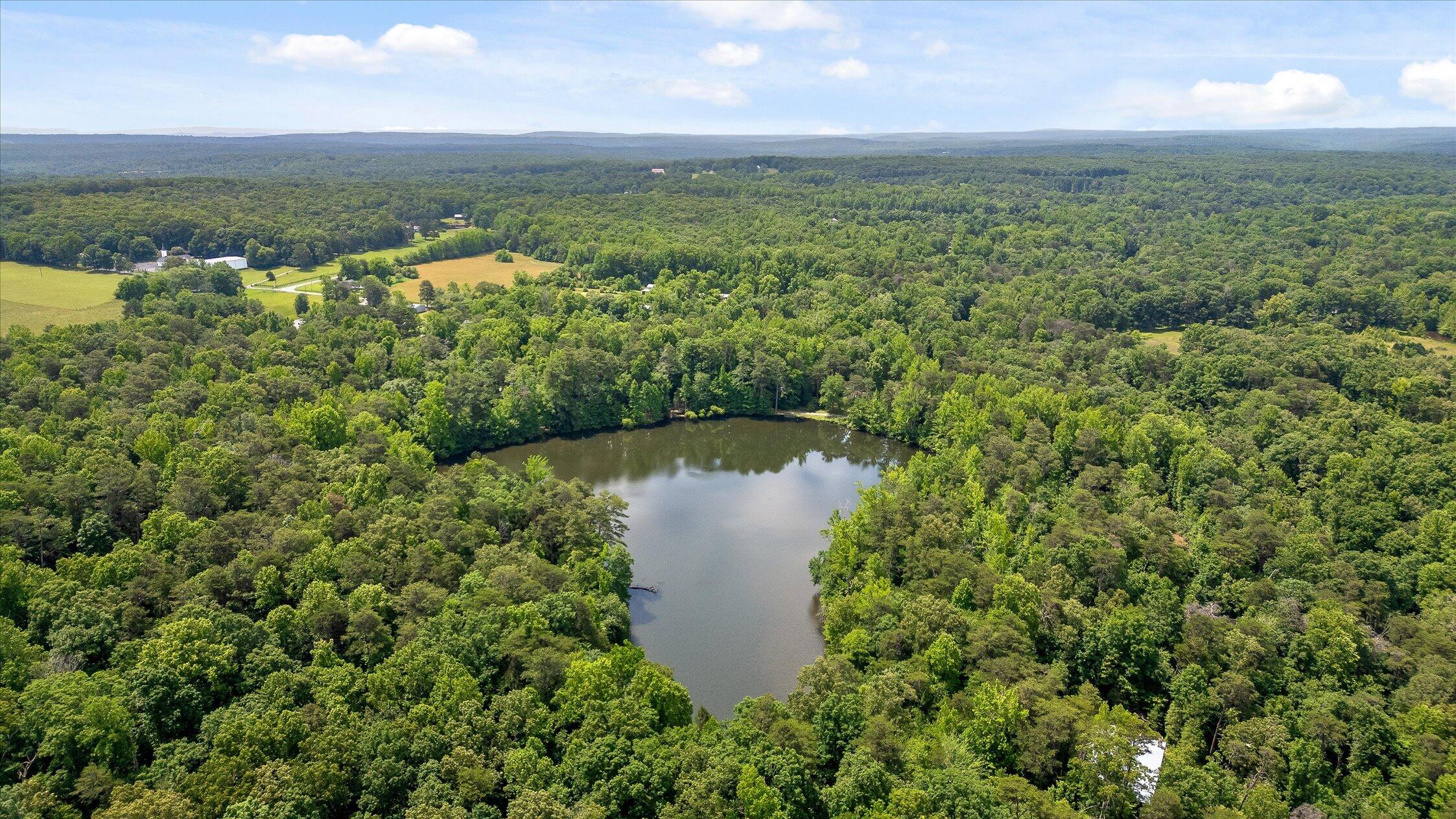 390 Moon Lake Road Mentone, AL 35984 - Photo 58 of 60 15-Moon Lake-14