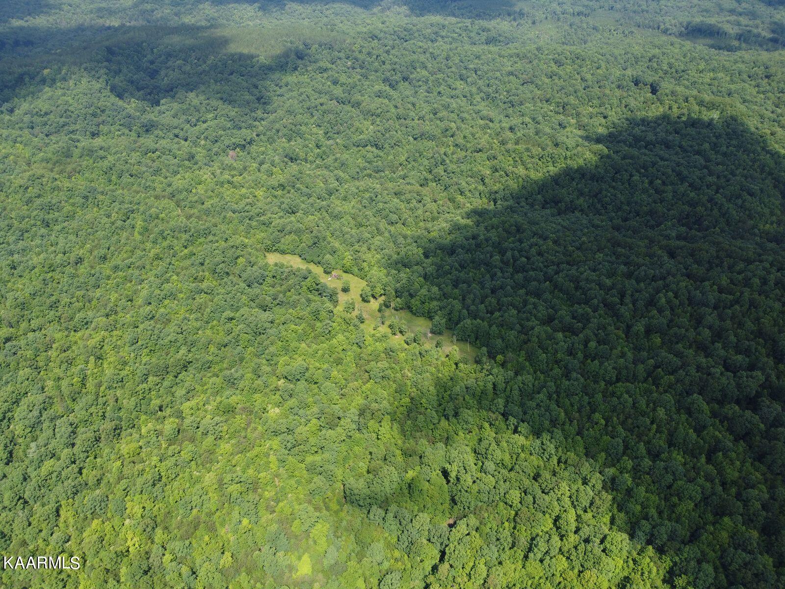 Bear Creek Road Oneida, TN 37841 - Photo 11 of 19 3