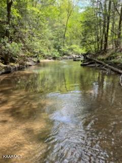 Bear Creek Road Oneida, TN 37841 - Photo 12 of 19 thumbnail (13)