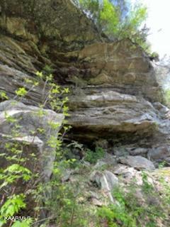 Bear Creek Road Oneida, TN 37841 - Photo 14 of 19 thumbnail (14)