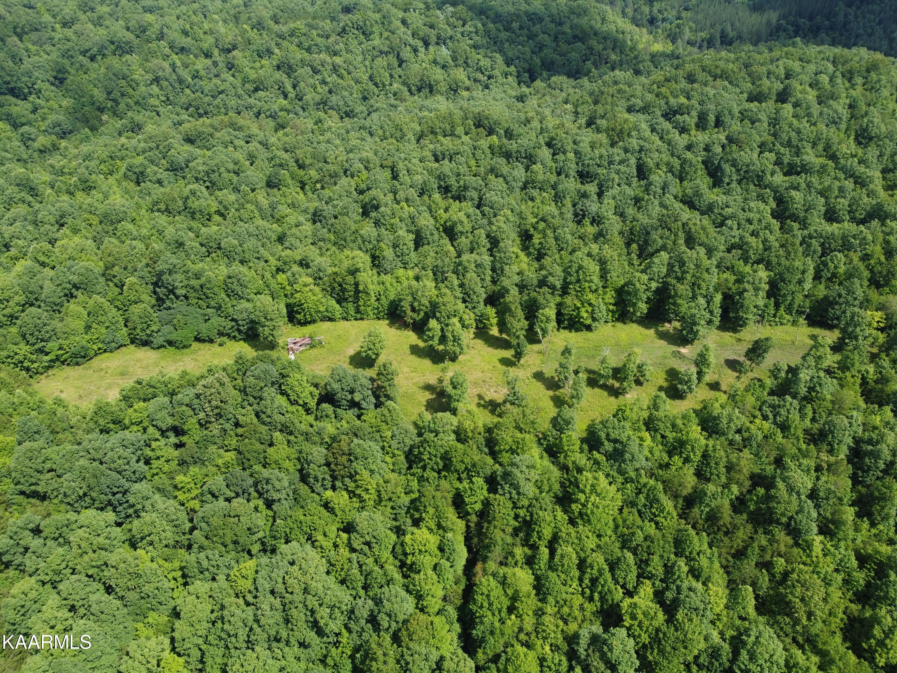 Bear Creek Road Oneida, TN 37841 - Photo 15 of 19 6