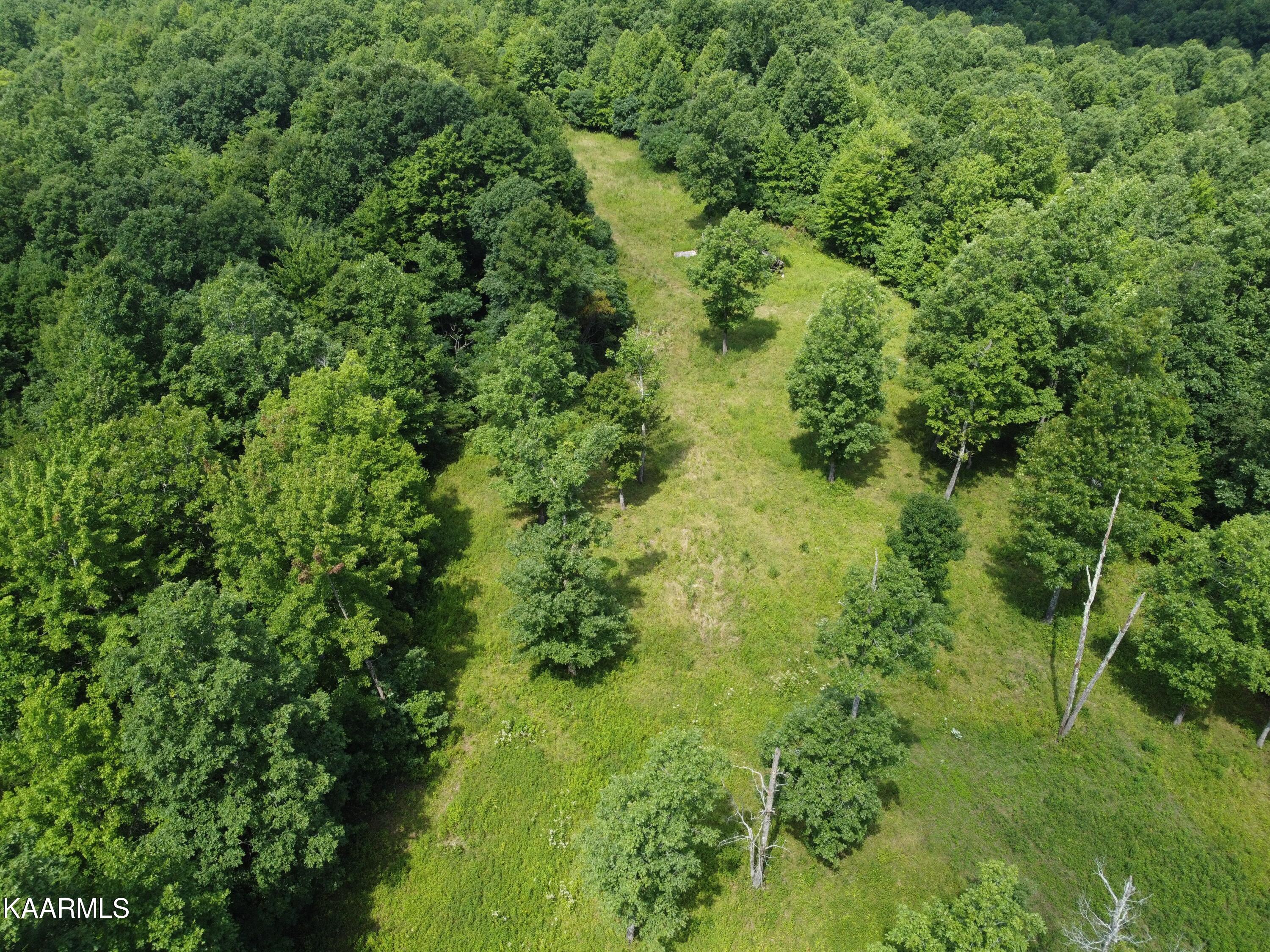 Bear Creek Road Oneida, TN 37841 - Photo 16 of 19 8