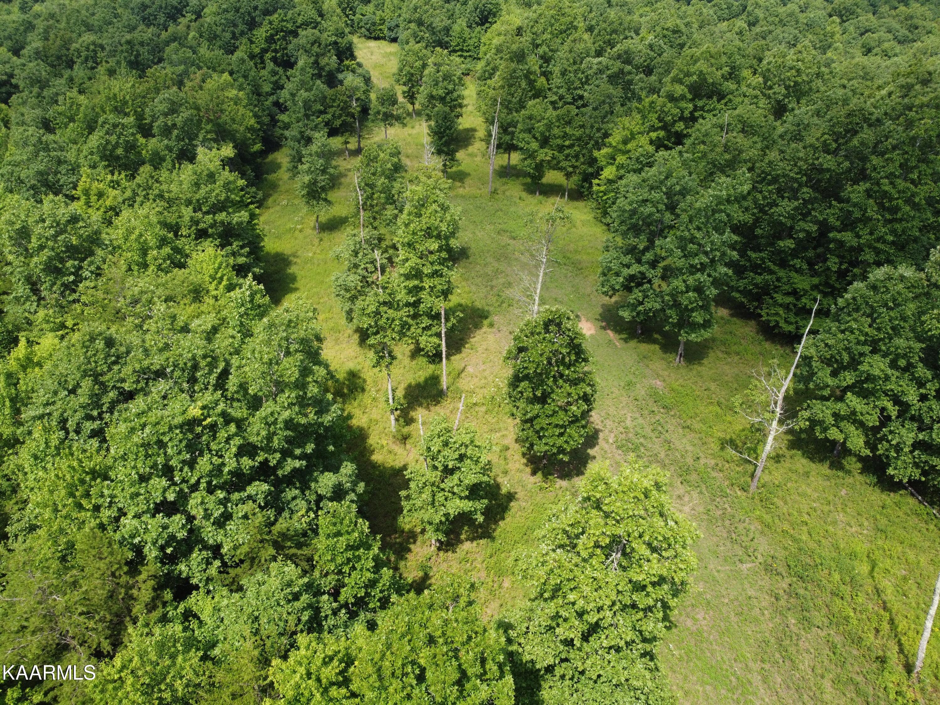 Bear Creek Road Oneida, TN 37841 - Photo 2 of 19 7