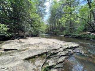 Bear Creek Road Oneida, TN 37841 - Photo 4 of 19 thumbnail (10)
