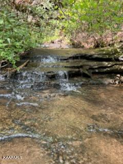 Bear Creek Road Oneida, TN 37841 - Photo 5 of 19 thumbnail (15)