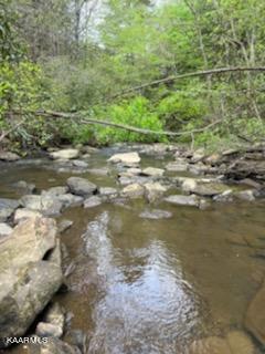 Bear Creek Road Oneida, TN 37841 - Photo 8 of 19 thumbnail (11)