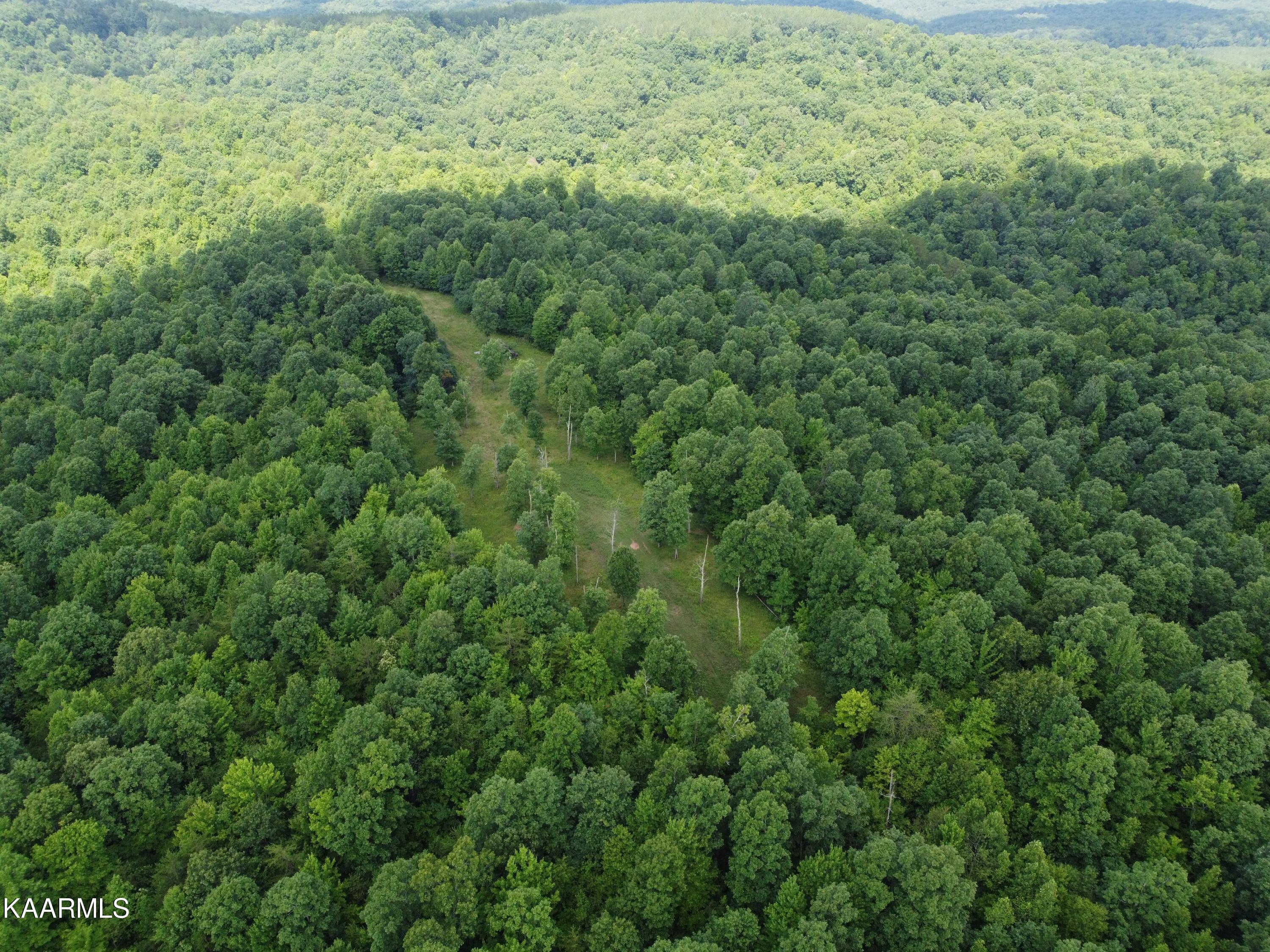Bear Creek Road Oneida, TN 37841 - Photo 9 of 19 1