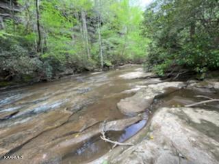 Bear Creek Road Oneida, TN 37841 - Photo 10 of 19 thumbnail (12)