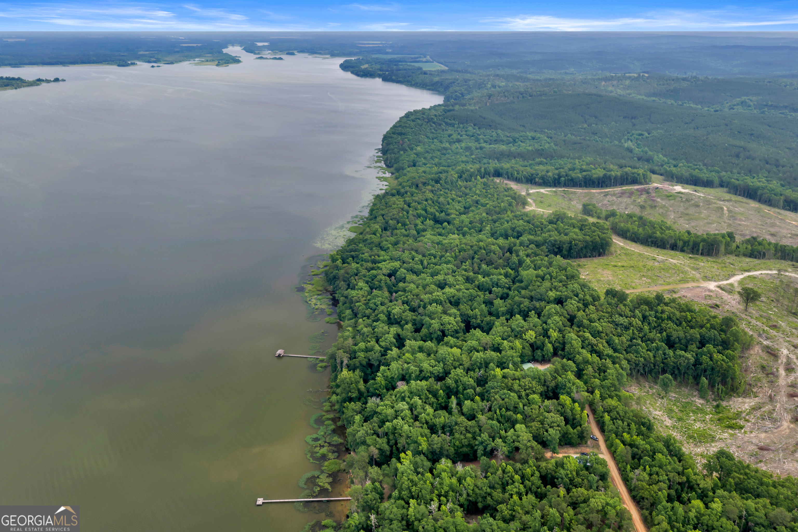 473 Vining Branch Road Georgetown, GA 39854 - Photo 13 of 43 an aerial view of mountain with lake view