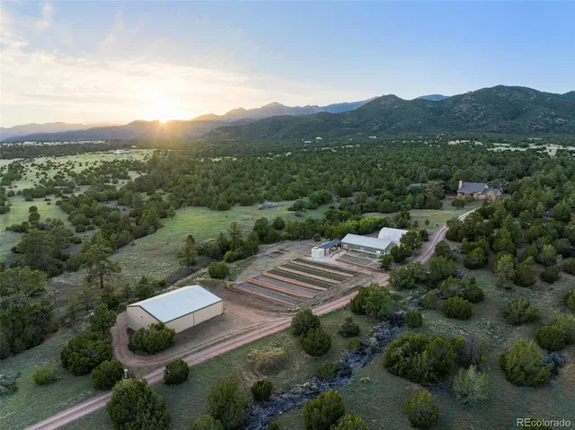 a view of a city with lush green forest
