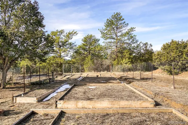 a view of a yard with trees