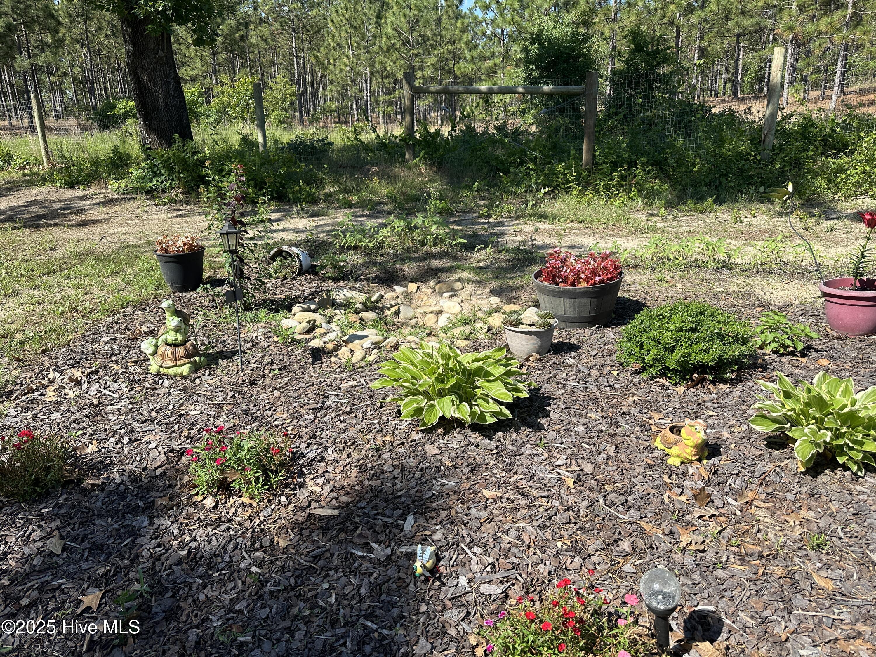 2004 Foxfire Road Jackson Springs, NC 27281 - Photo 61 of 68 Yard Plants