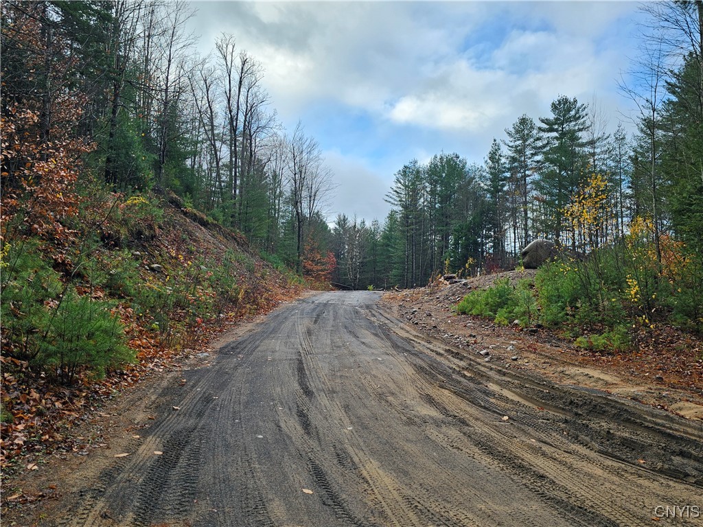 7208 Chases Lake Road Watson, NY 13343 - Photo 2 of 30